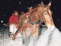 czas powrotu - najdłuższa dolina polskich Tatr Zachodnich już za nami